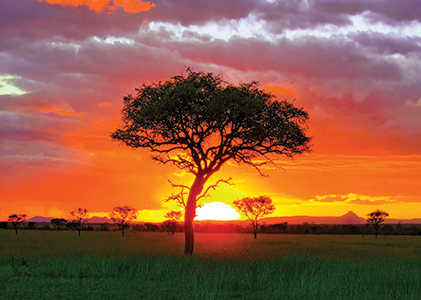 Serengeti Sunset Tanzania